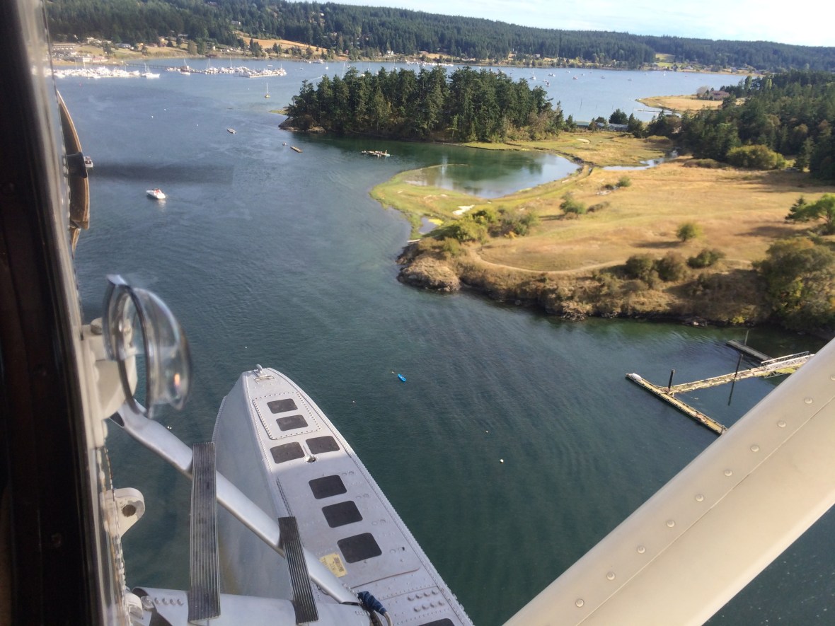 Amanda McCauley Studio Tour